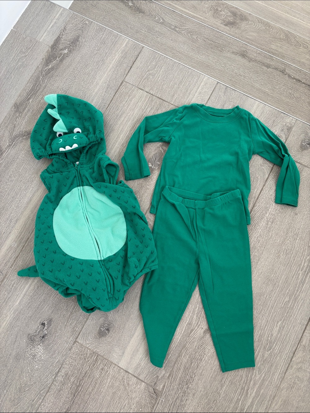 Dinosaur Halloween Costume Toddler Set Size 24M